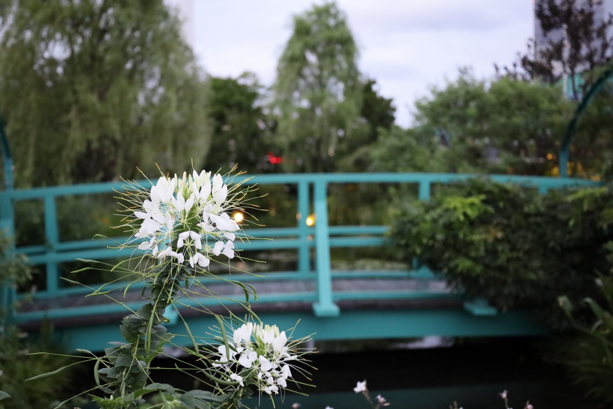 【東京・関東】フォトウォークが楽しめる社会人サークルとは？｜20〜30代中心・初心者歓迎のカメラ交流イベント