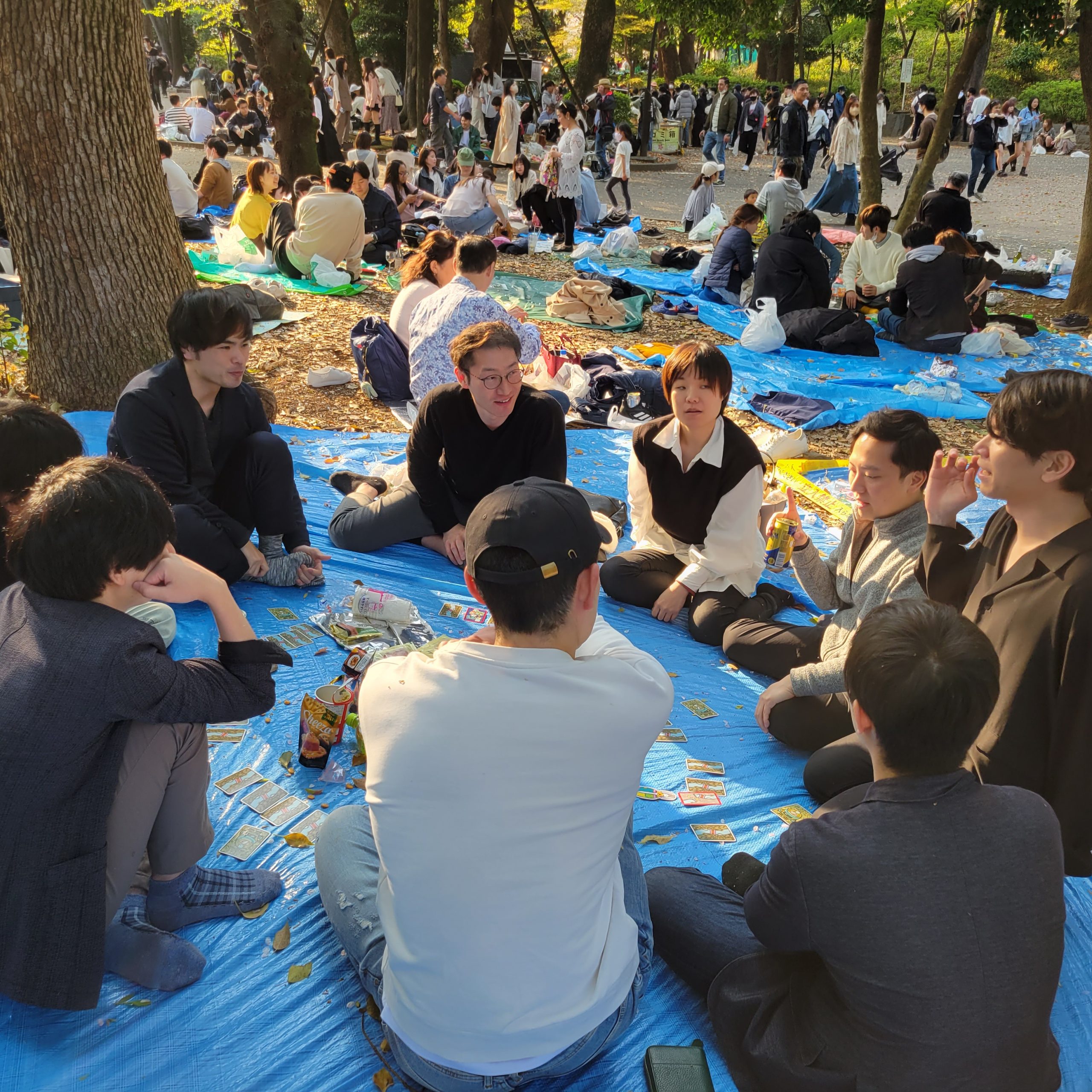 【東京・関東の公園で活動】社会人サークルを探している方へ｜20〜30代中心・自然の中で気軽に交流！