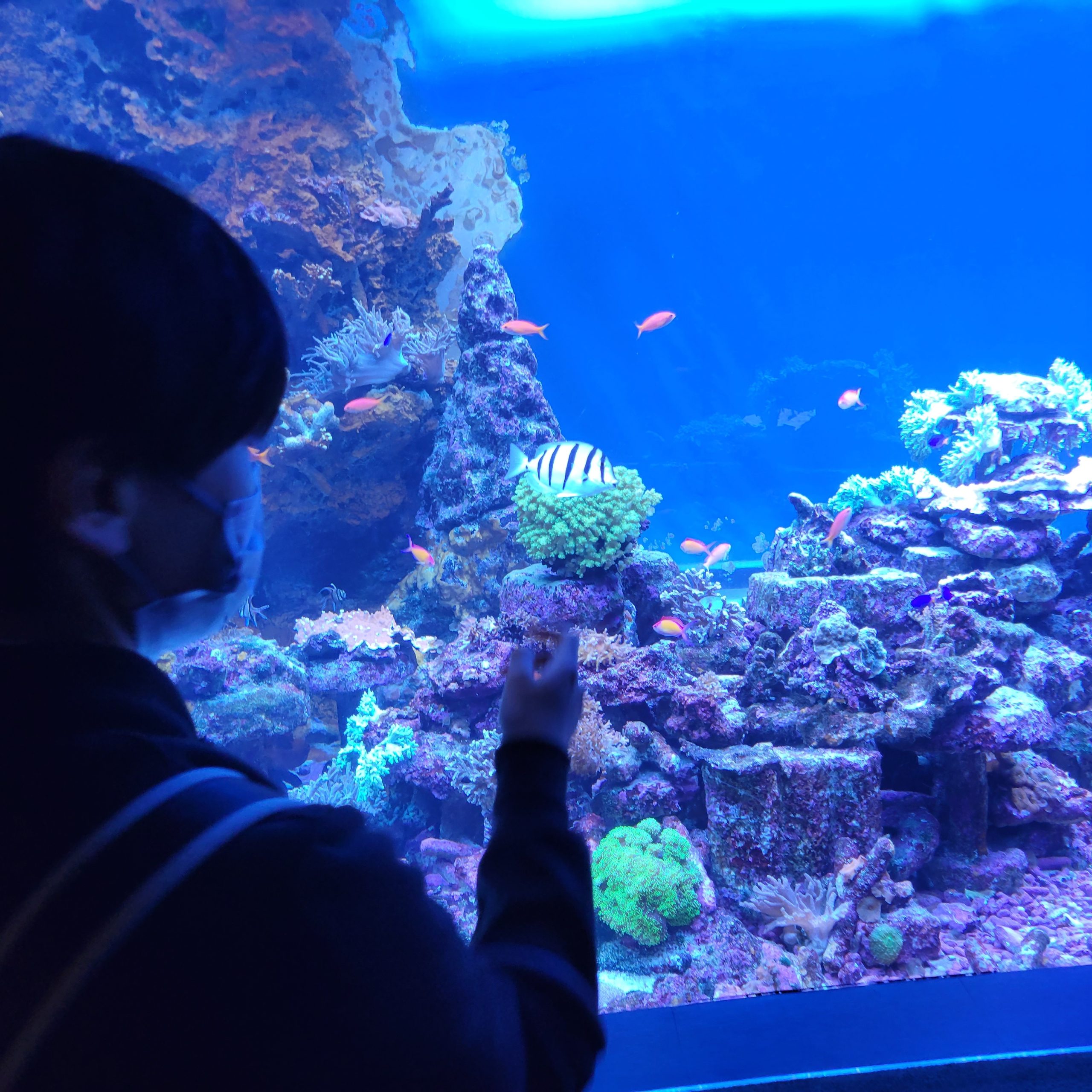 【東京・関東】水族館で交流できる社会人サークルとは？｜20〜30代中心・ゆったり楽しめる大人の趣味系イベント