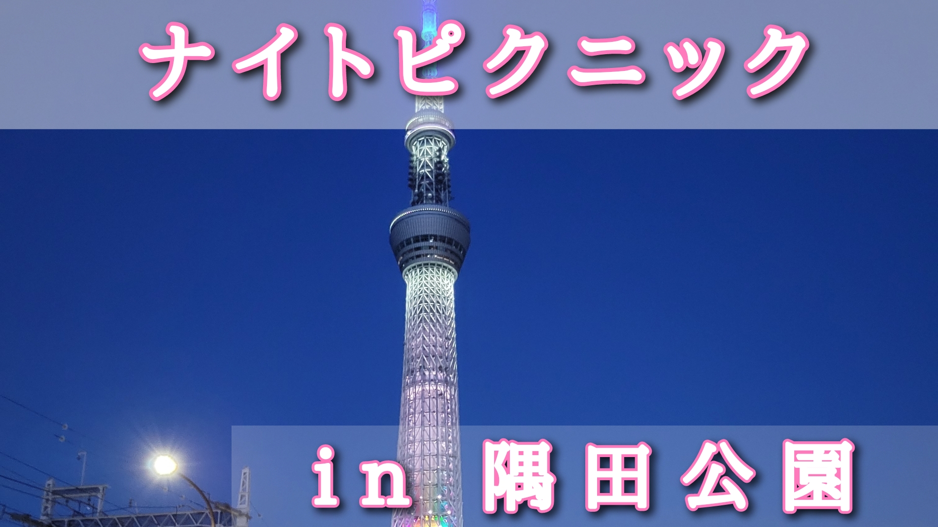 【ナイトピクニック】隅田公園で夜景を見ながらゆったりと過ごそう（東京での20代〜30代限定の社会人サークル）