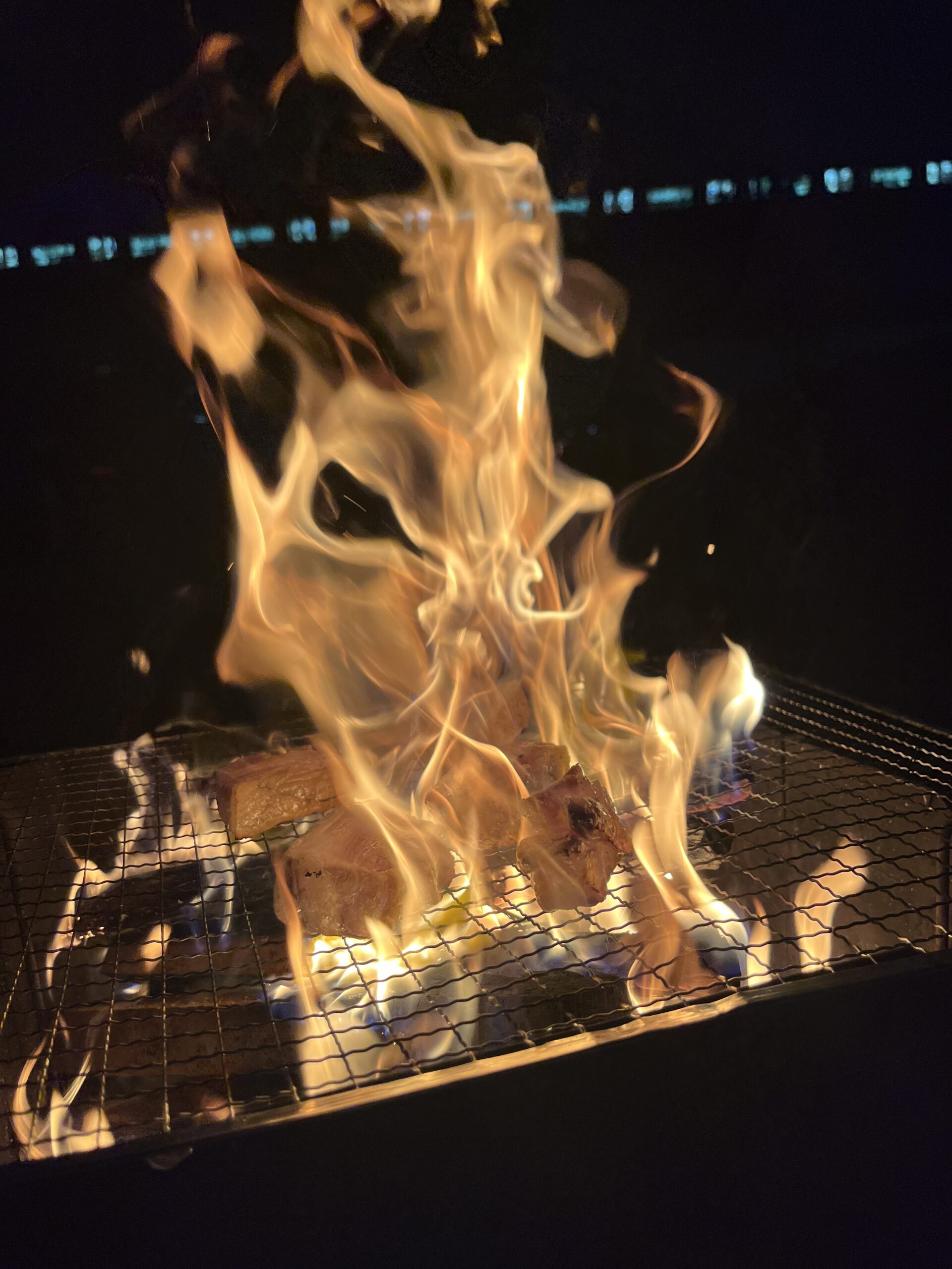 [初心者OK]神奈川県武蔵小杉徒歩10分キャンプ場で焚き火しよう！20代限定のキャンプサークル！